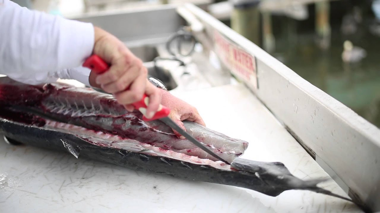 How To Fillet Fish Properly - Way 2