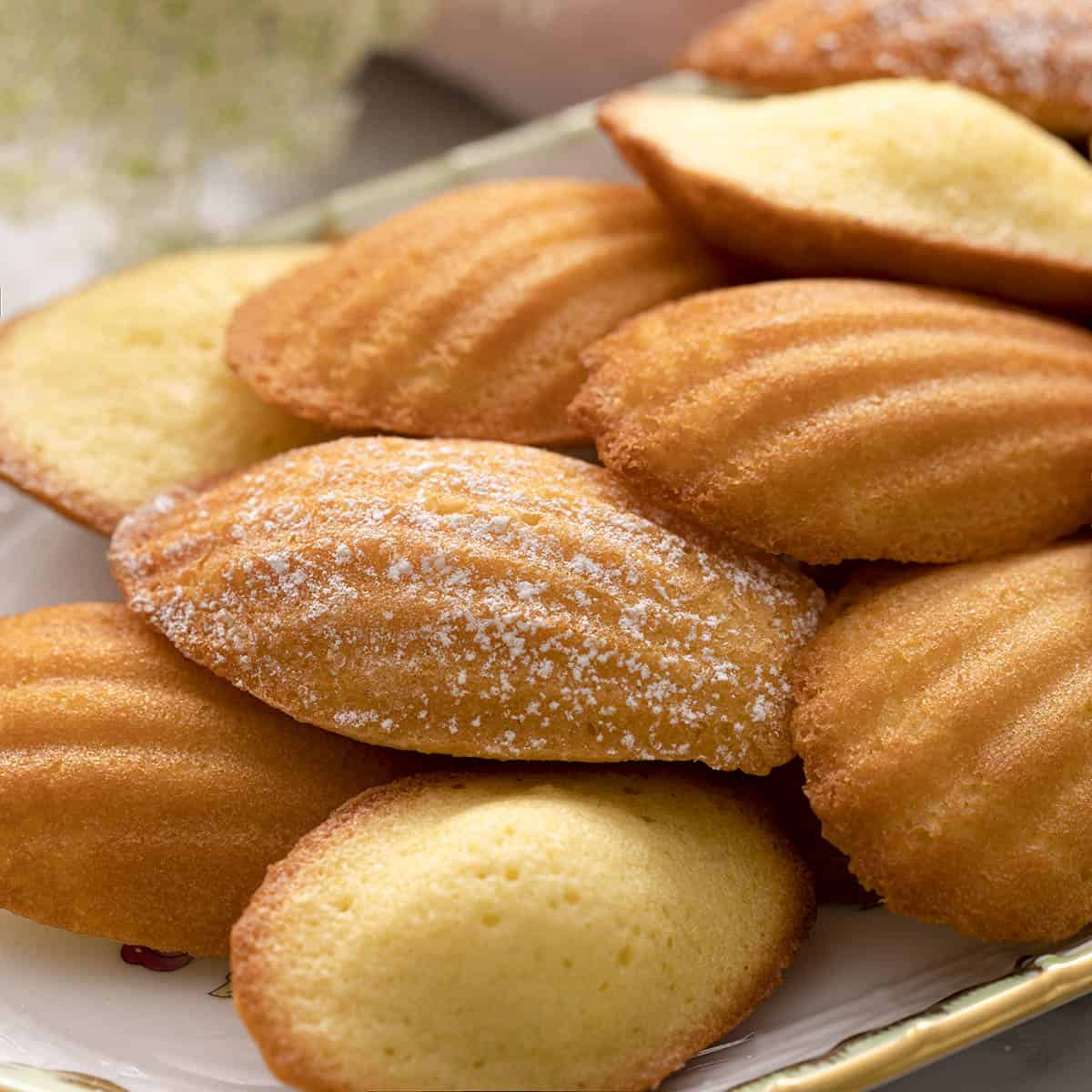 Madeleines